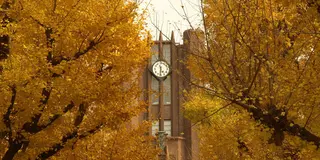 歴史、建築好きは必見の東京大学本郷キャンパス。近くにはおいしいものもたくさんあります！