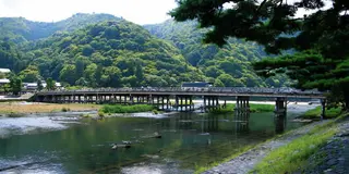 京都へ来たら神社・仏閣もいいけどぜひ嵐山へ！観光・デートにも最適です♪