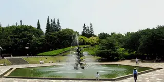 世田谷公園でワイルドな１日を過ごす