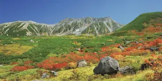 立山黒部アルペンルートで北アルプスの秋を存分に楽しもう！