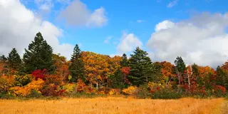 紅葉とワイルドな野湯を満喫　秋田焼山へ登山