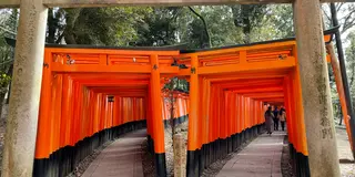 京都駅から30分🚃伏見・宇治の見どころ巡り🚶‍♀️本場のお茶体験も🍵