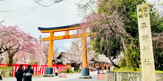 秘密にしたい春スポット🌸〜京都・西陣界隈〜