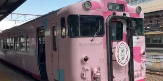 【岡山県】観光列車「SAKU美SAKU楽」に乗って津山を観光🌸