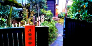 畳に座って抹茶体験！