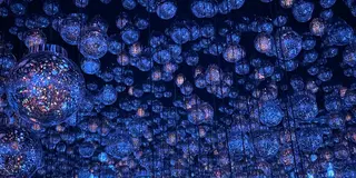 【東京 麻布台】teamLab⭐︎ Borderless 秋の遠足🎶