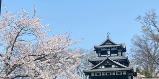 新潟高田城〜長野野沢温泉