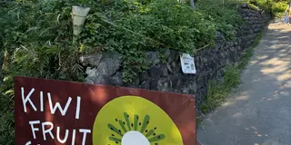 【静岡 掛川 KIWI FRUIT🥝COUNTRY】