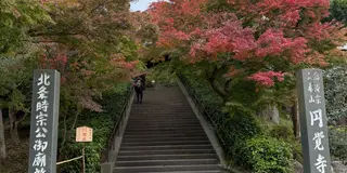 【北鎌倉〜江ノ島】秋の紅葉＆イルミネーション✨…そして美味しいもの