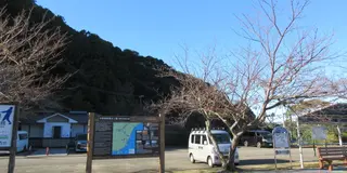 クジラみたことある？クジラってどんな生き物？