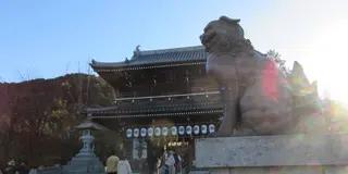 おのぼりさん・おくだりさんがすれ違う西条を散策