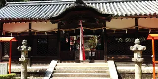 半日のどかに歩きながら、歴史や茶筌について学べるツアー  生駒市高山町