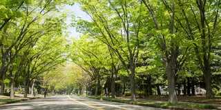 駒沢エリア🌳