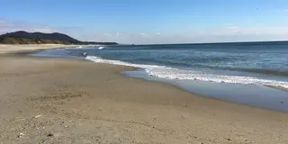 ✨海の散歩コース  渥美  表浜