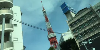 東京案内してーやー。にはコレ！