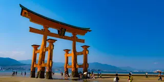〜ひとり旅〜東京から日帰り厳島神社と穴子飯⛩💫