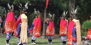 宇和島、八ツ鹿踊り