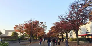 秋の渋谷🍁ゆったりショッピング