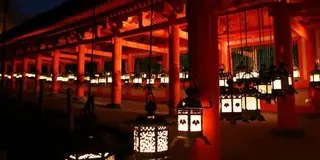 【奈良】寺社仏閣⛩&カフェ☕️巡り！