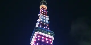 東京タワーで1人でも楽しめる誕生日を☆