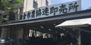 気ままお散歩旅 in 鎌倉〜北鎌倉