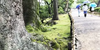 石川ファミリーキャンプと金沢観光