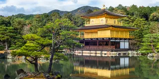 思わずの京都出張自由行動🍁どうする！？