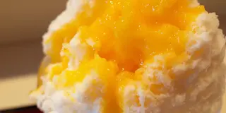 【夏の谷根千さんぽ】人気のカフェ・パン・カキ氷を散策