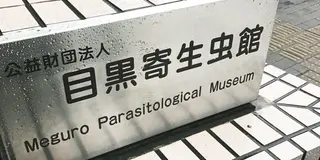 目黒寄生虫博物館