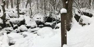冬の十和田・八戸旅