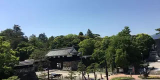 石ちゃんのぶらり旅-高知城の絶景-