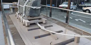 202502河津桜まつり