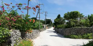 私の沖縄通いの原点・おじぃ・おばぁが待っている竹富島　～　スローライフな島　～