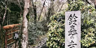 鈴虫寺→嵐山食べ歩き