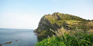 済州島半日ツアー(韓国ドラマのロケ地多め)