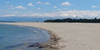 ホタルイカの身投げGet！
