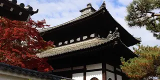 そうだ、京都へ紅葉を見に行こう🍁