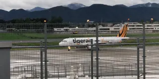 盛岡で観たり食べたり