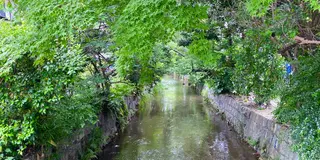 3泊4日京都の自然を堪能する一人旅☾