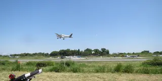 飛行場で小型飛行機を見学