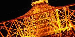 東京タワーの赤い光は恋人たちの愛を深めるらしい。