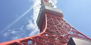 東京タワーを足元から楽しむ