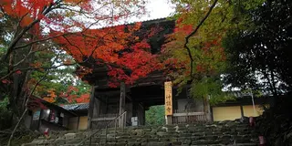 20191102-03京都旅行