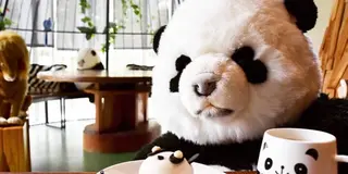 《台湾•台北編》可愛いパンダに癒されよう🐼CAと巡る台北１泊２日旅！