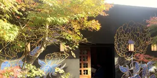 紅葉シーズンの【京都】観光