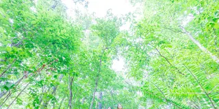 【大阪～京都美山】手ぶらで満喫♪自然の中でピクニック&E-bikeレンタサイクル