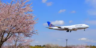 飛行機と桜のコラボレーション！WELCOME TO NARITA!