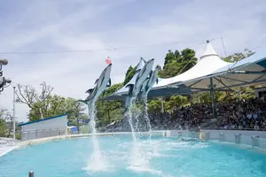 和倉温泉でのんびり＆のとじまドライブ！