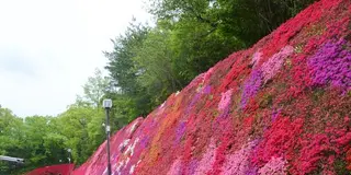 5月豊田へお出かけ