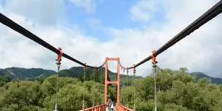 Photogenic spots in Miyama - "colorful bridges"
